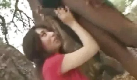 देवी और उसके नंगे सेक्सी मूवी सेक्सी मूवी सेक्सी मूवी पैर 2 से अधिक